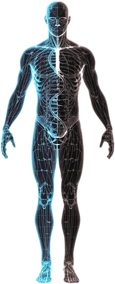 Cellular Enhancement